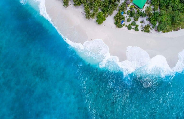 Virtual Travel: 11 Amazing Destinations You Can Experience Online