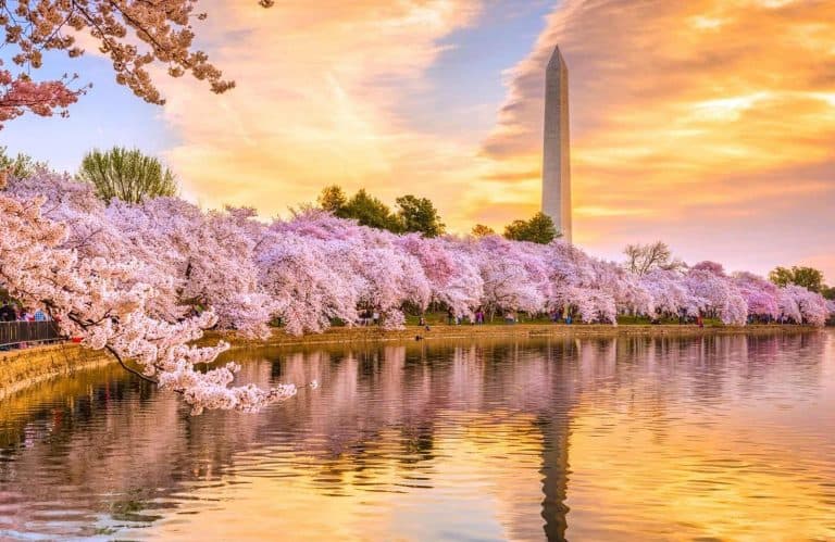 USA Weekend Trips: 25 Amazing Destinations for a Short Getaway