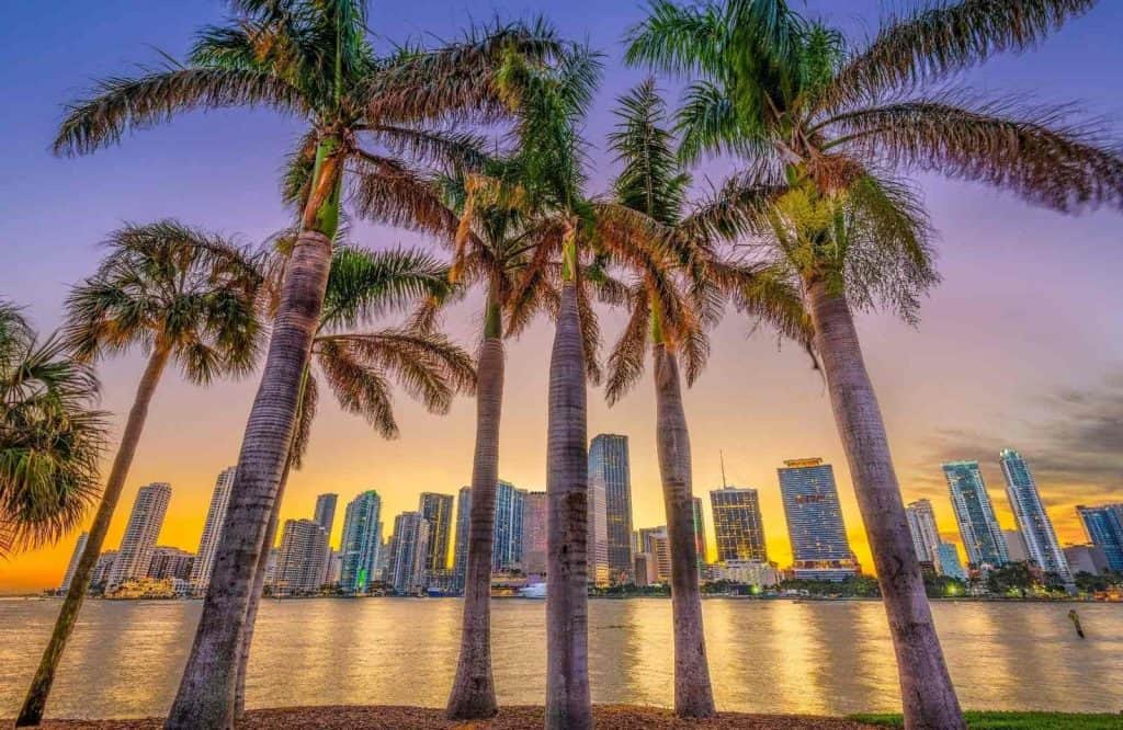 Miami is one of the best winter trips in the U.S.