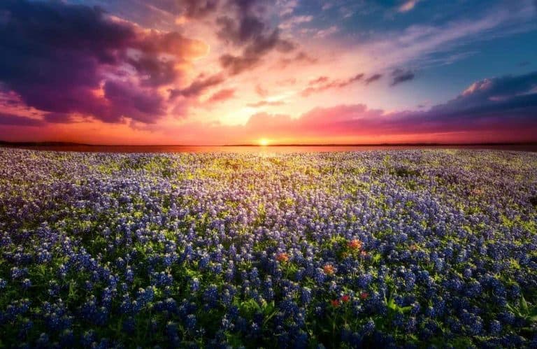 Best Weekend Trips in Texas: 13 Perfect Locations!
