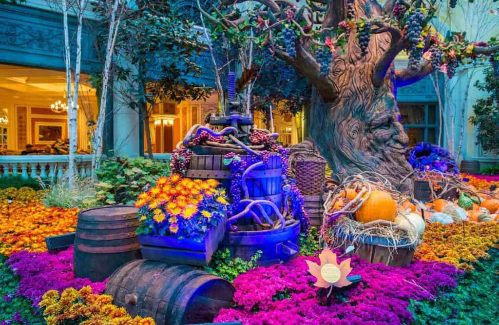 Add the Bellagio Gardens to your list of free things to do in Vegas.