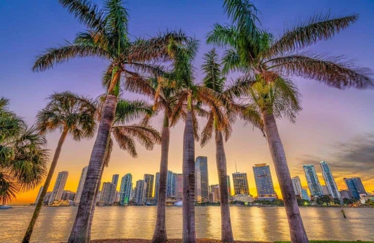 The Ultimate Florida Road Trip: 14 Epic Days!