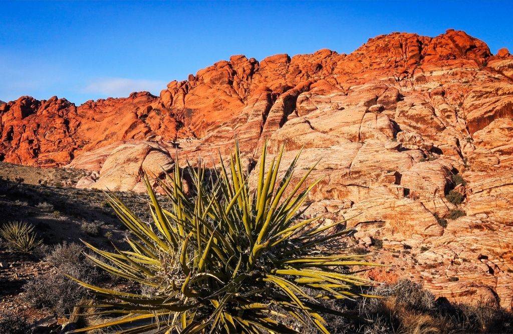 Red Rock Canyon National Conservation Area is one of many day trips from Las Vegas.