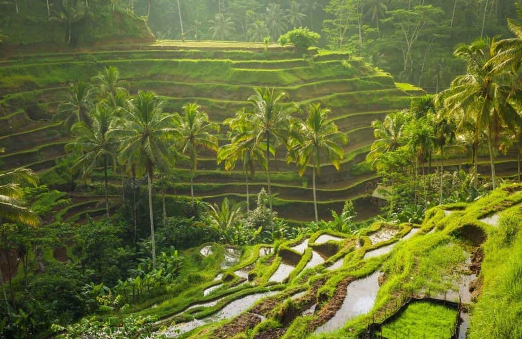 Ubud belongs on every Bali itinerary.