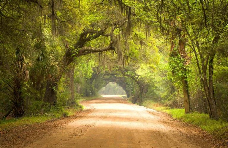 12 Chilling Charleston Ghost Tours