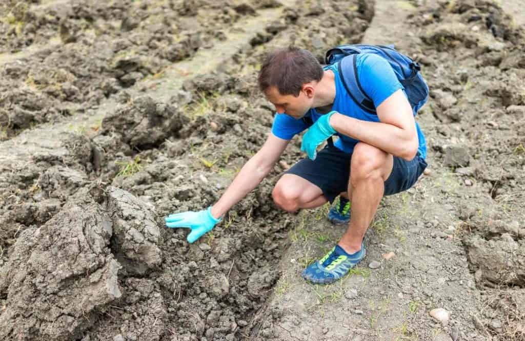 One of the most exciting things to do in Hot Springs is to search for diamonds at Crater of Diamonds State Park.