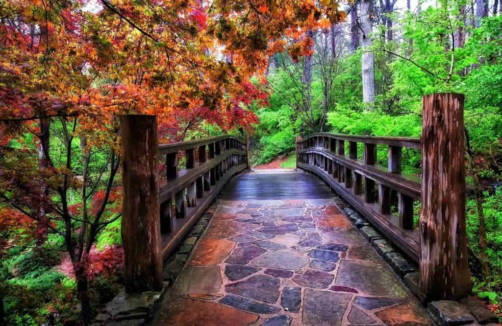 If you're looking for things to do in Hot Springs, Arkansas, check out the Garvan Woodland Gardens.