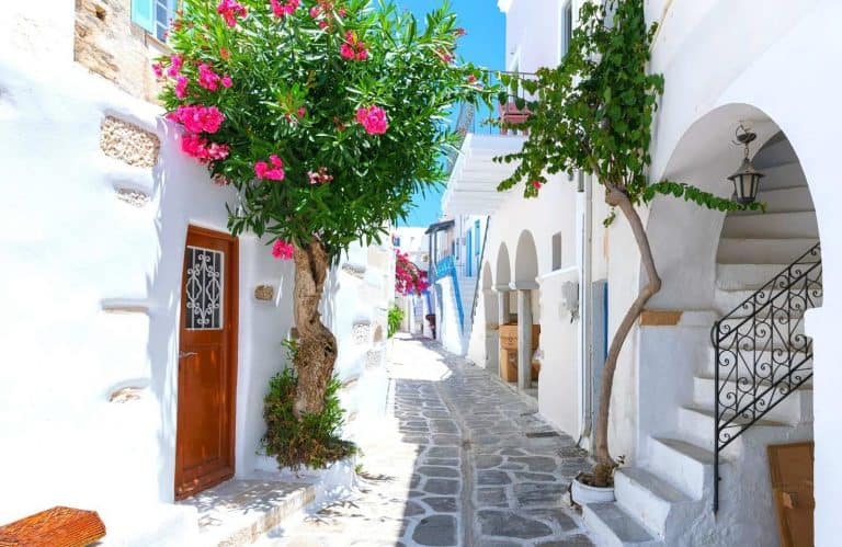 Santorini or Mykonos: Which Island Should You Visit?