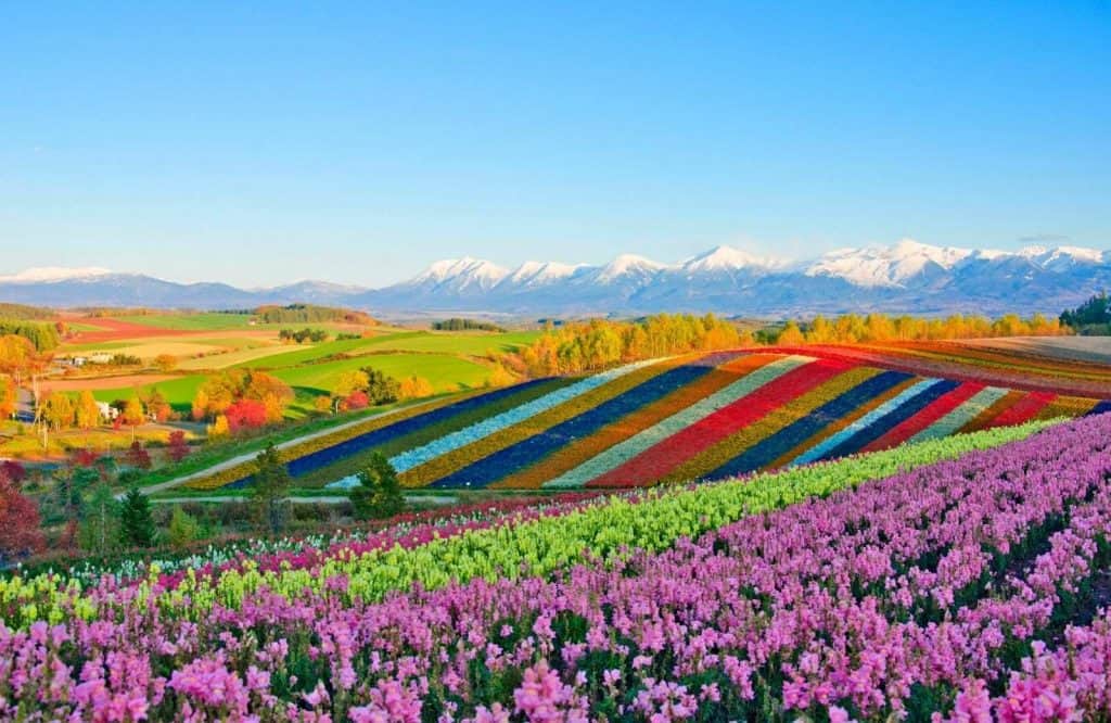 Hokkaido - colorful islands in Asia