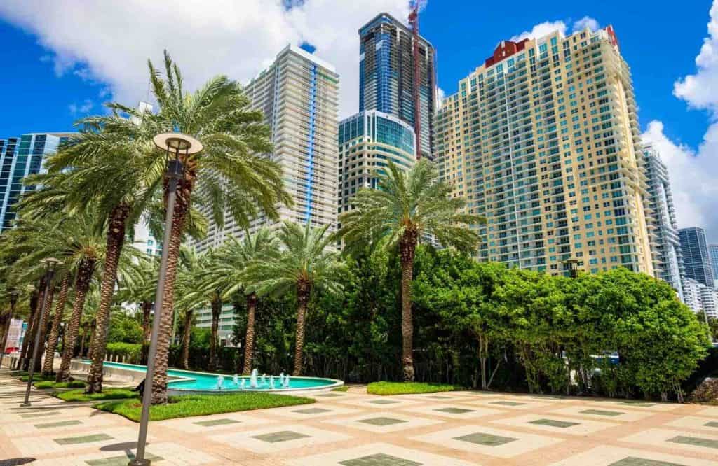 Tall buildings and palm trees on Brickell Avenue in Miami.