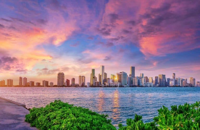 Cotton candy skies with the Miami cityscape for one day in Miami.