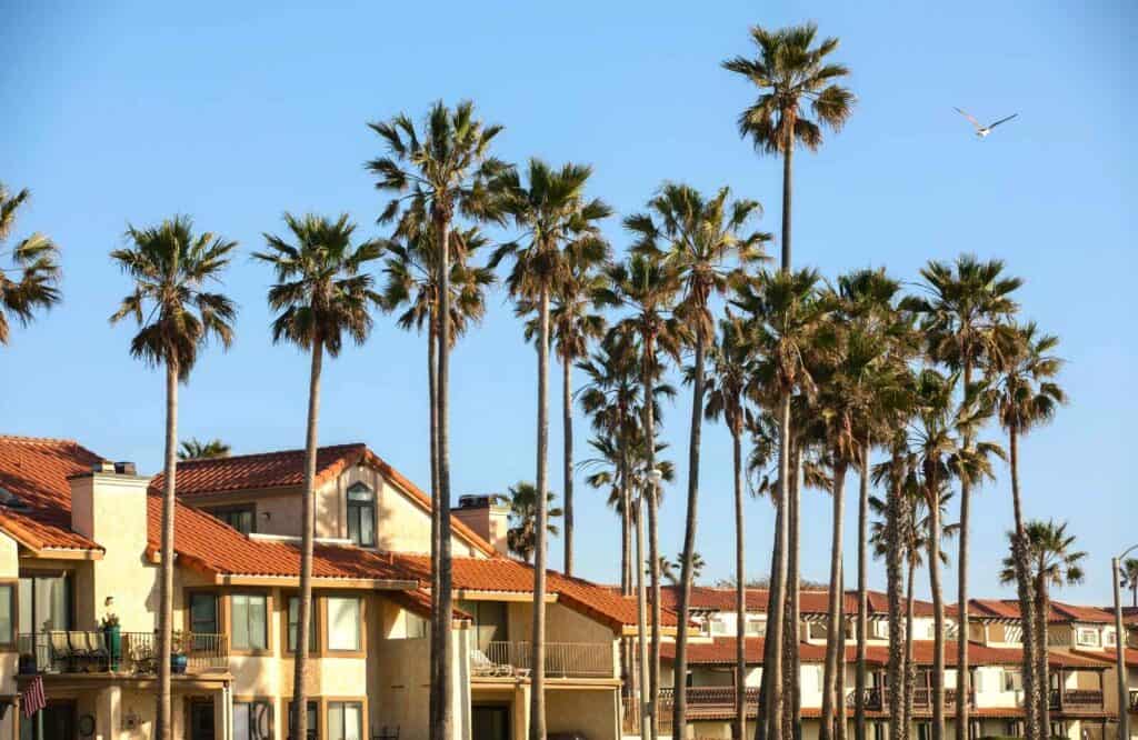 Tall palm trees in front of orange roofed buildings in Oxnard, California.