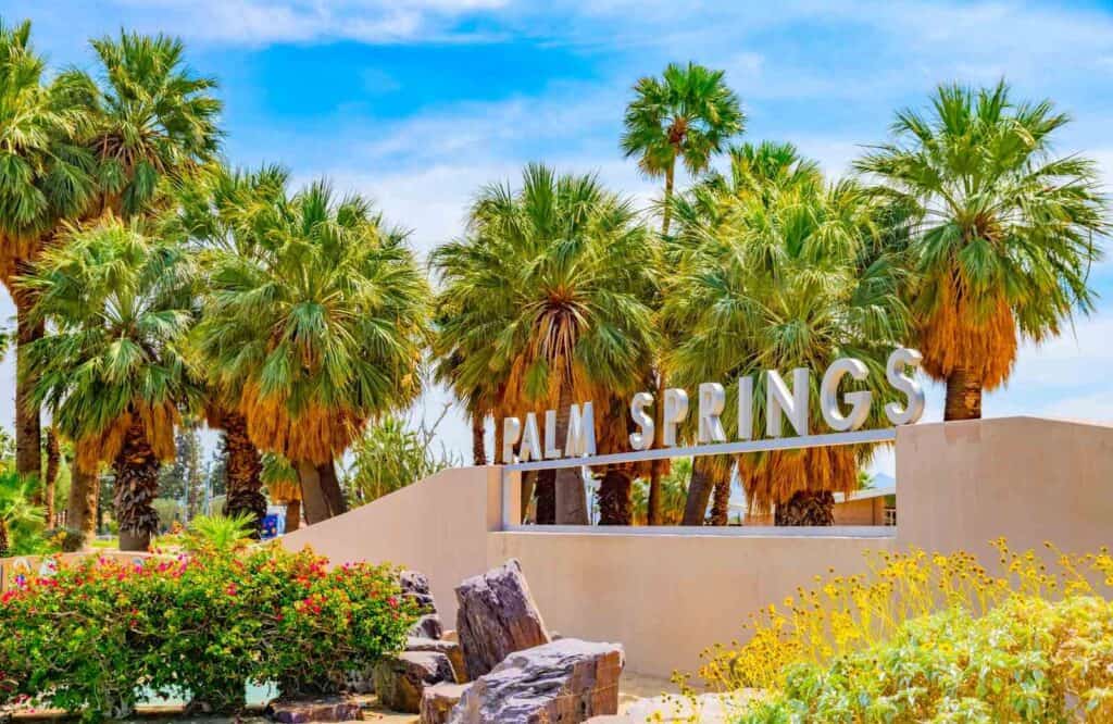 A white sign that says "Palm Springs" with bright green palm trees behind it in Palm Springs, California.