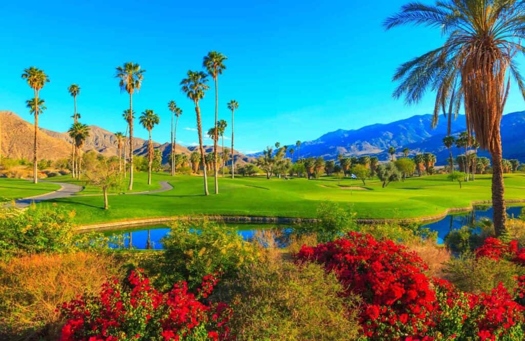 Red plants and tall palm trees on a golf course in Palm Springs with a pond in the middle of the course.