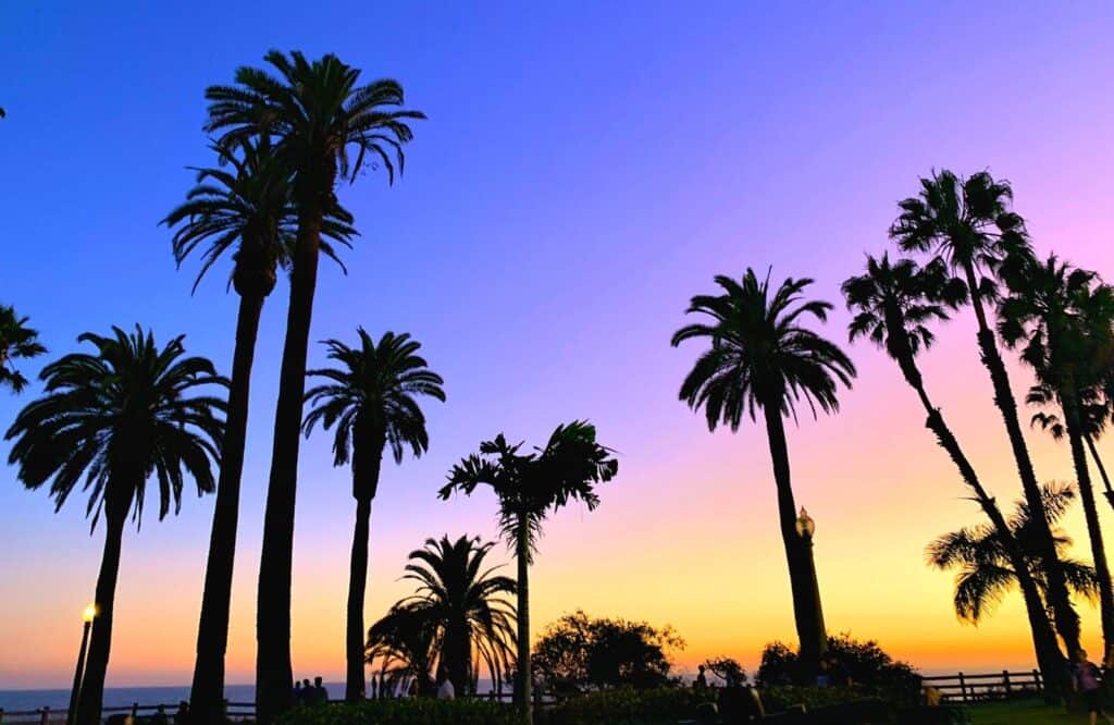Palm trees against a purple and yellow sunset on one of several day trips from Los Angeles.