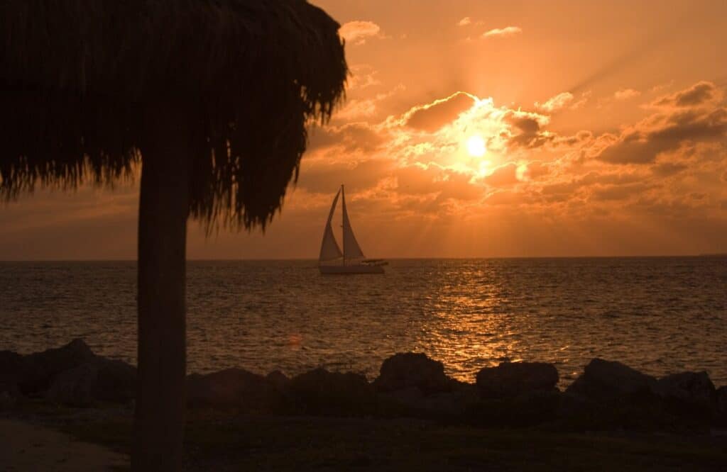 A view of the sunset from Fort Zachary Taylor State Park with a sailboat on the ocean and a palm tree along jagged rocks lining the shoreline.