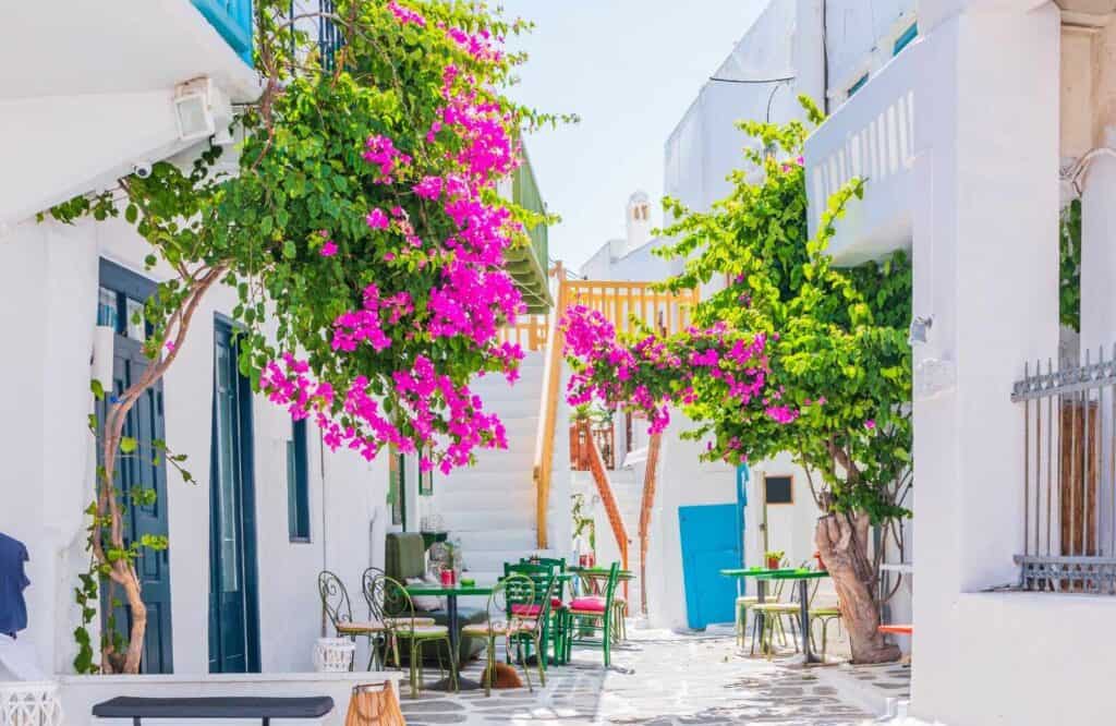 White-washed buildings with blue doors and vivid pink bougainvillea flowers in the Old Town in Mykonos.