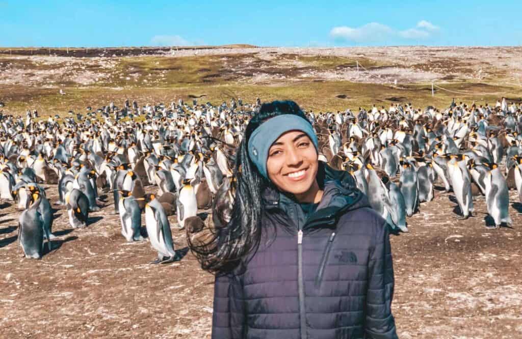 A woman wearing a black jacket standing in front of hundreds of King Penguins in the Falkland Islands.