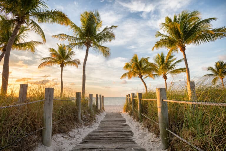 Wooden boardwalk flanked by lush green grasses leading through palm trees to a tranquil beach, with the ocean visible in the distance under a soft, glowing sunrise in Key West, Florida.