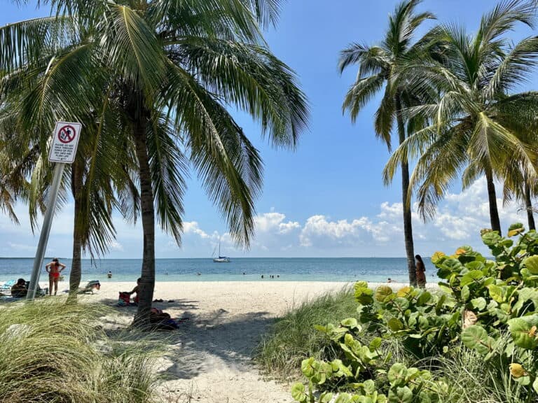 Scenic view of a beach at Bill Baggs Cape Florida State Park in Key Biscayne, Florida, framed by tall palm trees and greenery. People are relaxing on the white sandy beach and swimming in the calm turquoise water, with a sailboat anchored offshore under a sunny blue sky as one of the best day trips from Miami.