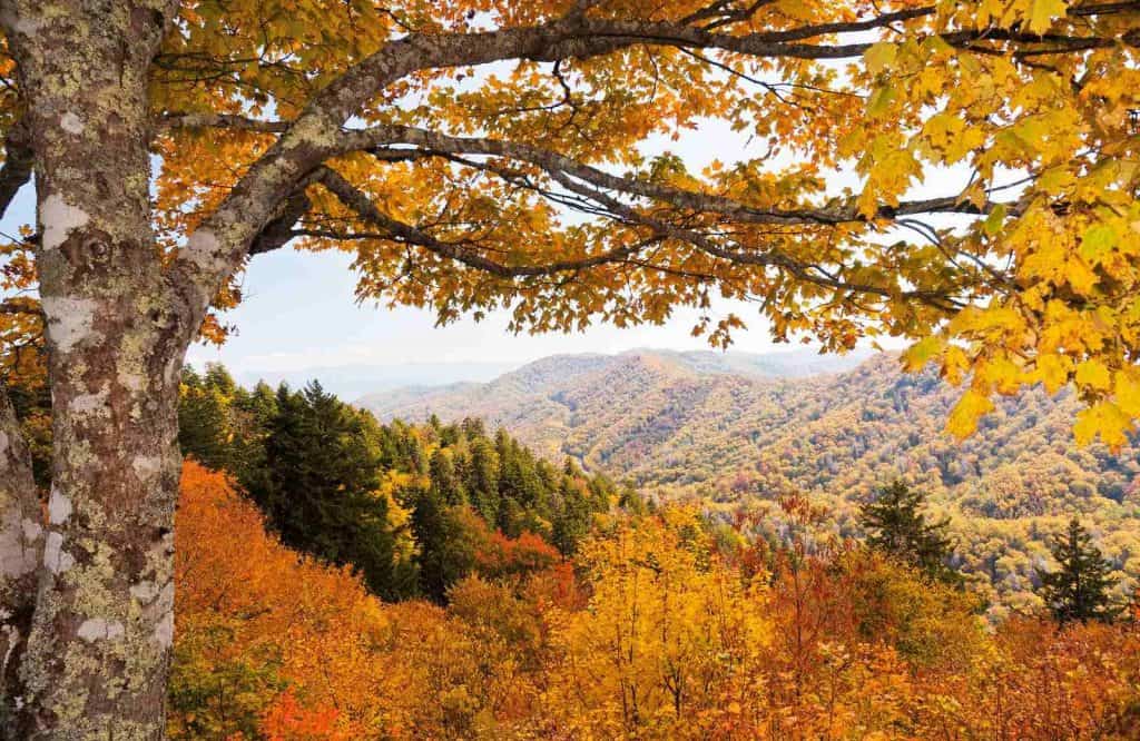 The Smoky Mountains make for a very fun USA fall trip.