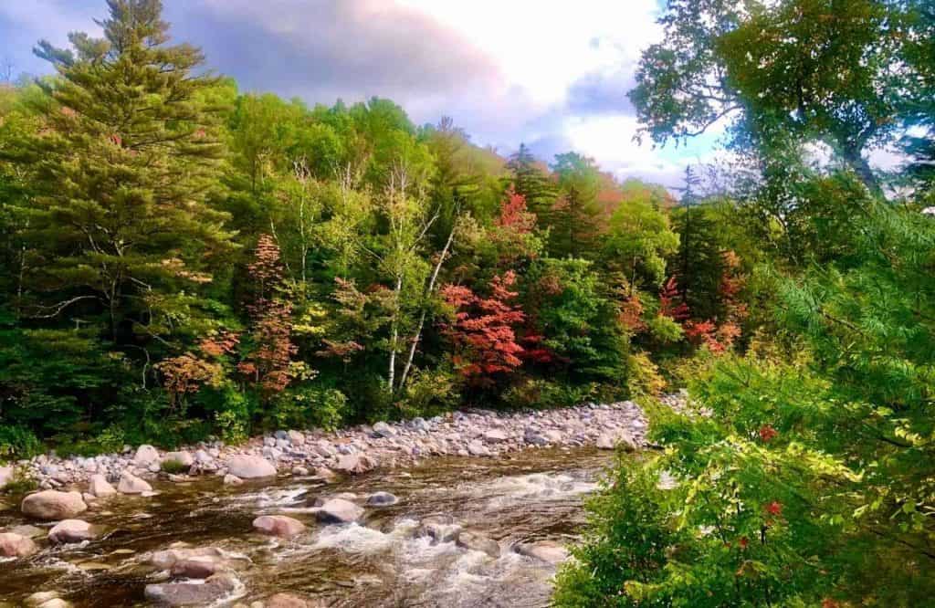 White Mountain National Forest is a stunning place to explore on your New England road trip itinerary.