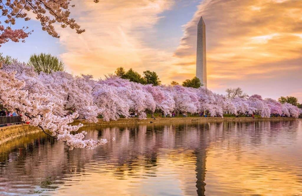 Washington DC is one of the best getaways on the East Coast.