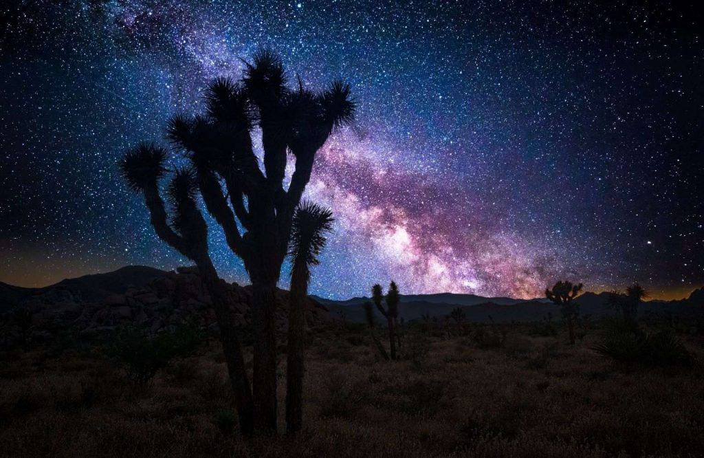 The best getaways on the West Coast include Joshua Tree National Park.