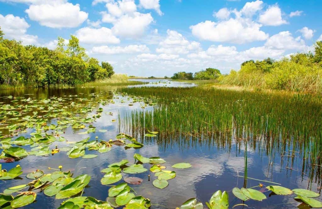 Everglades National Park is a must stop on your Florida road trip.