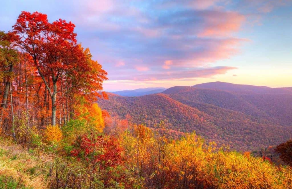 One of many national parks on the East Coast is Shenandoah National Park.