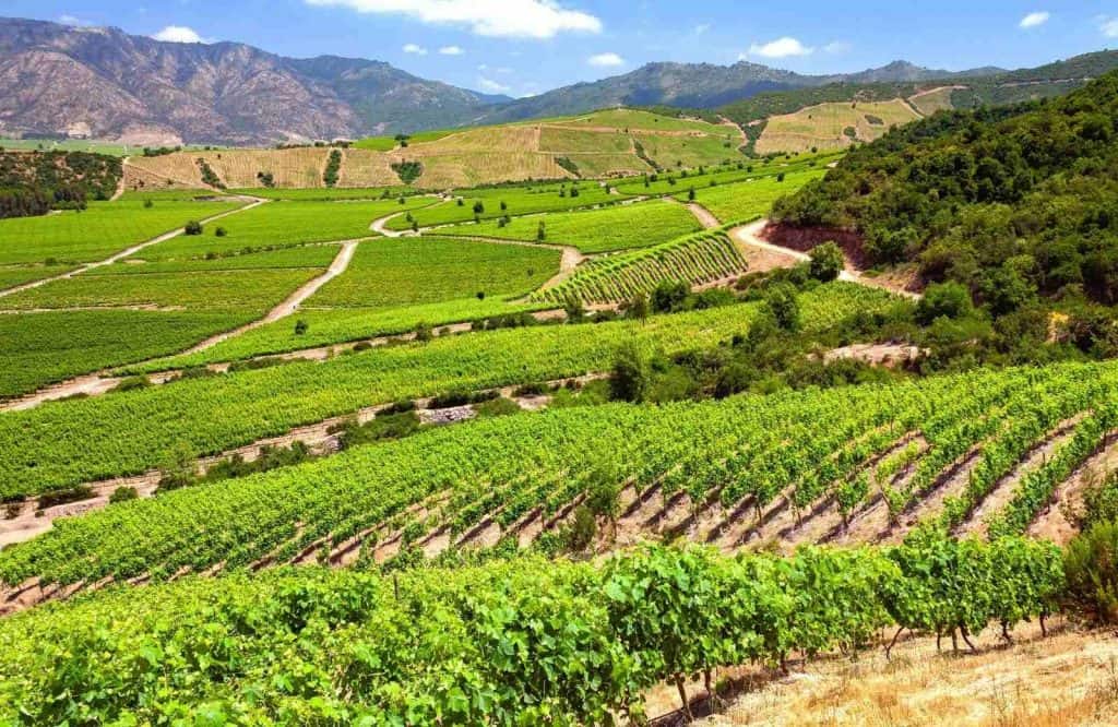 Colchagua Valley is the perfect underrated destination to add to your bucket list for couples.