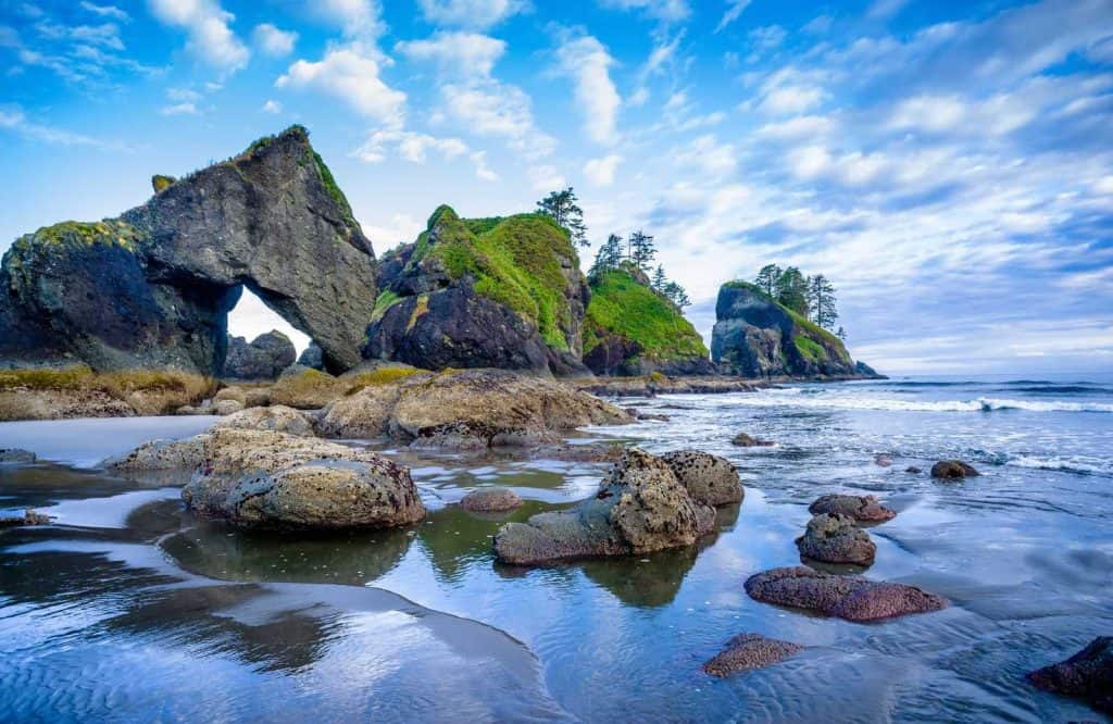 One of the most unique national parks on the West Coast is Olympic National Park.
