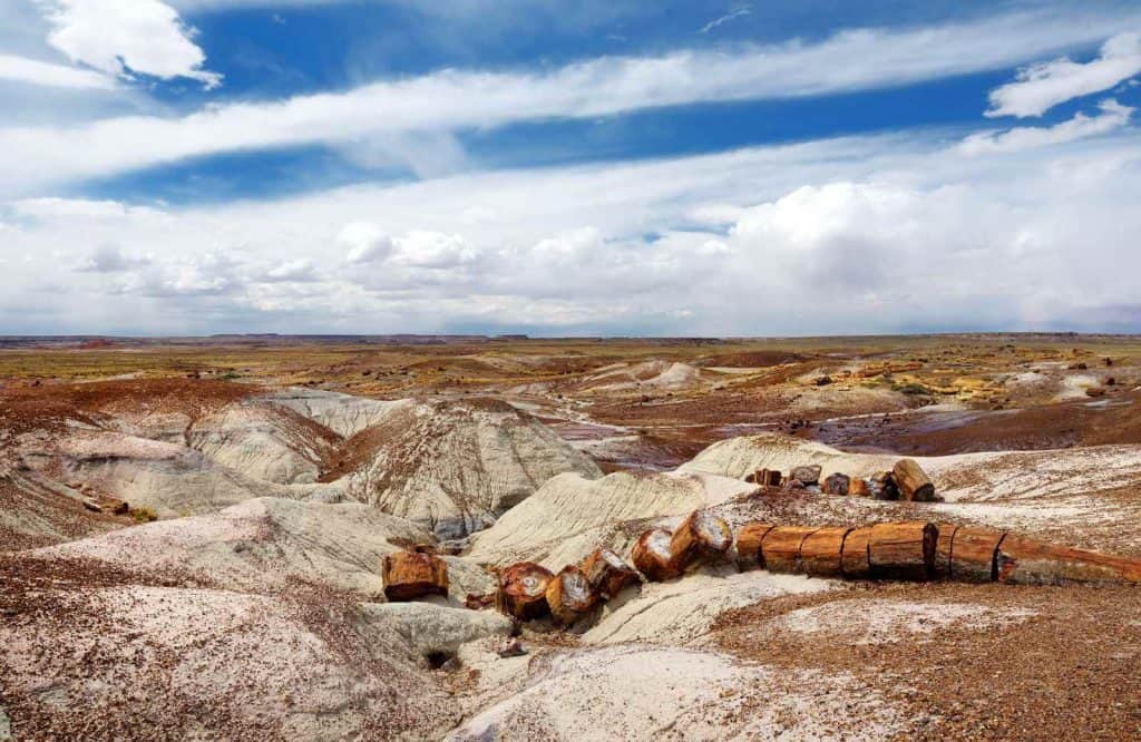 Petrified Forest National Park is one of the coolest things to see on Route 66.