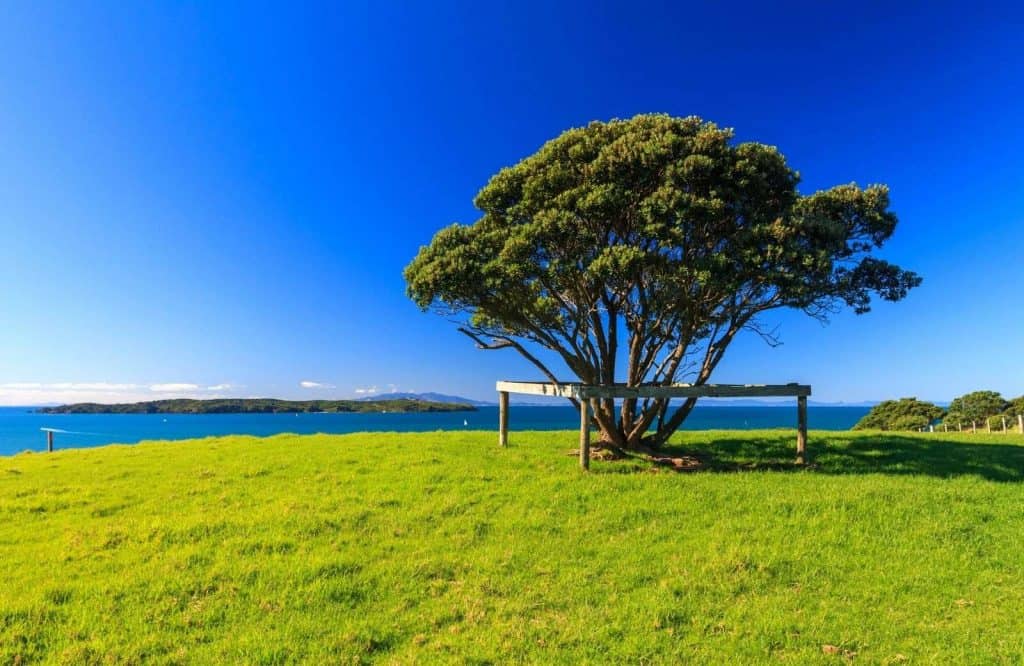 Add Shakespear Regional Park to your list of day trips from Auckland.
